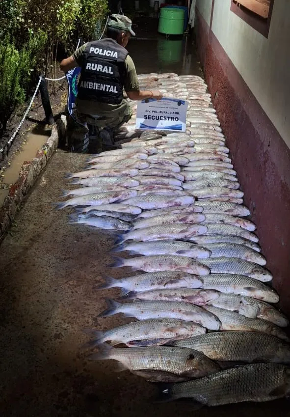 Imagen-de-WhatsApp-2024-01-11-a-las-08.03.44_3d7d620b