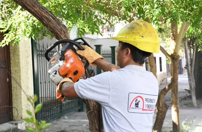 Captura de pantalla 2025-03-13 024536
