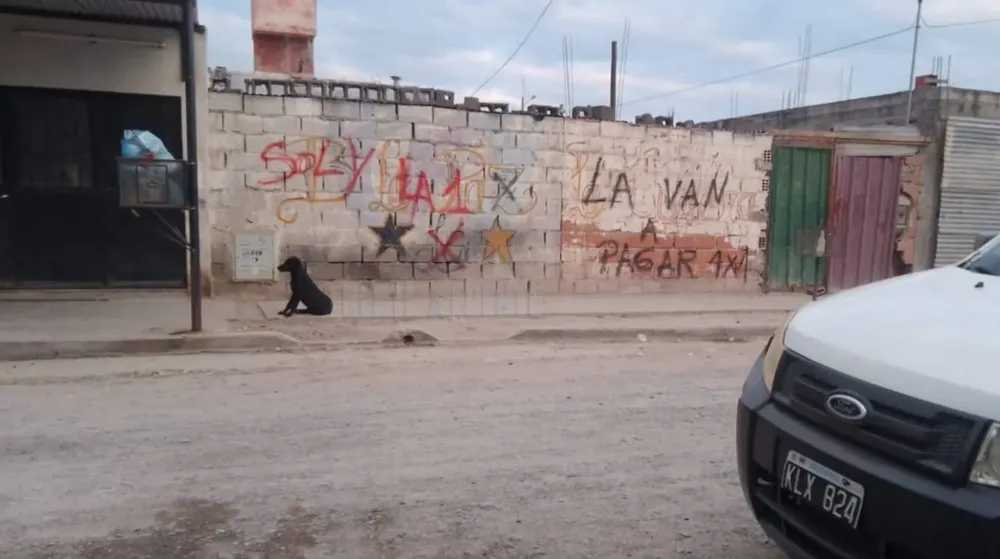 WhatsApp Image 2025-08-18 at 11.14.39