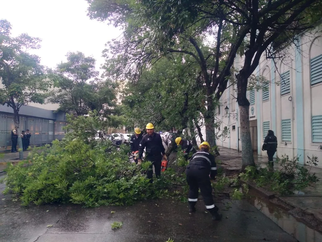 ramas-caidas-vicente-lopez-3-jpg