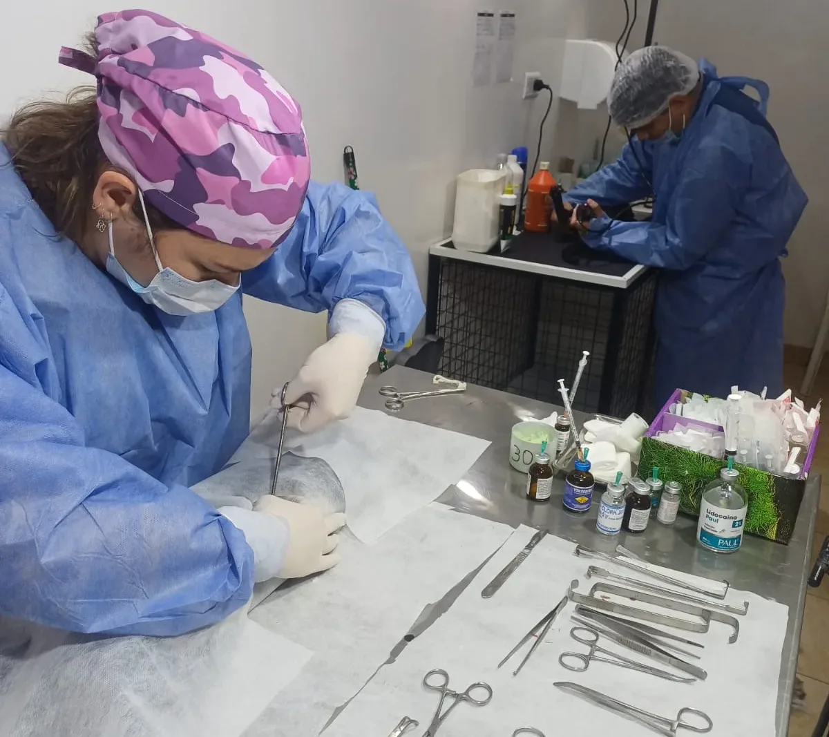 castraciones-1-e1757592685573