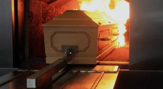 WhatsApp Image 2025-11-27 at 10.03.35