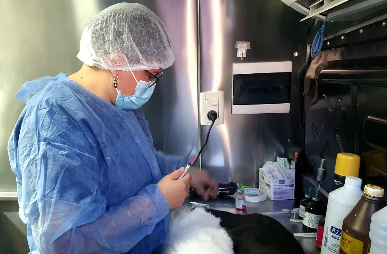 movil-de-castracion-barrio-inter-3