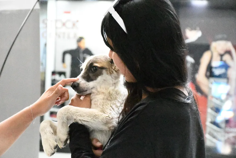 jornada-de-adopcion-7-jpg