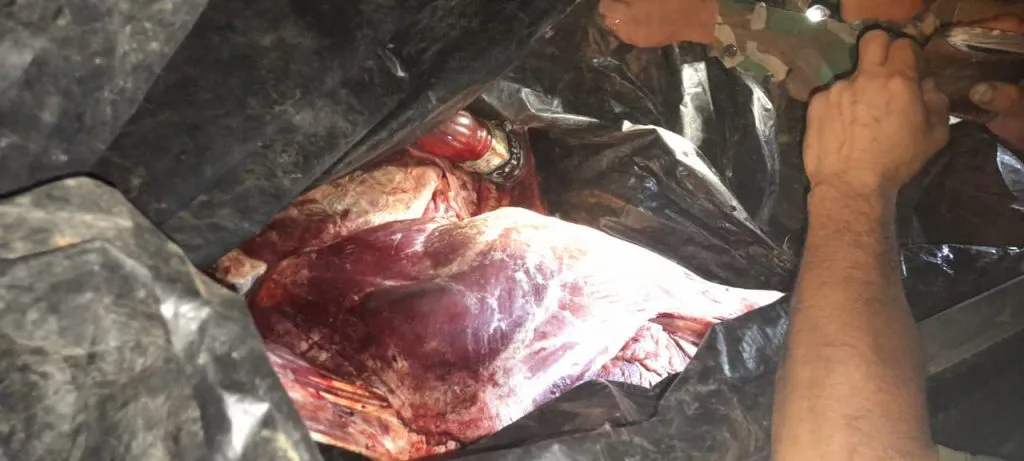 WhatsApp-Image-2023-11-01-at-7.10.08-AM-1024x461