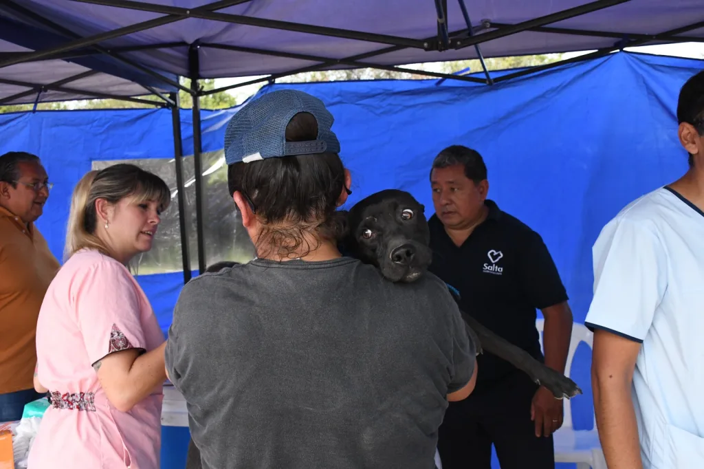 operativo-bienestar-animal-7-1024x682