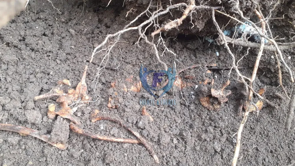 InShot_20240410_115224974