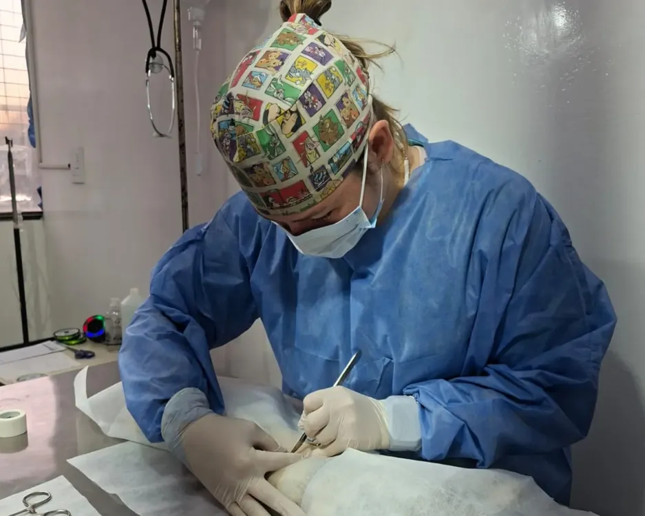 castracion-animales-1536x1229