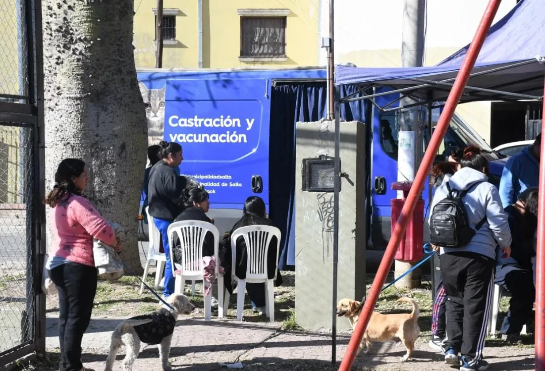 WhatsApp Image 2025-07-22 at 12.13.57