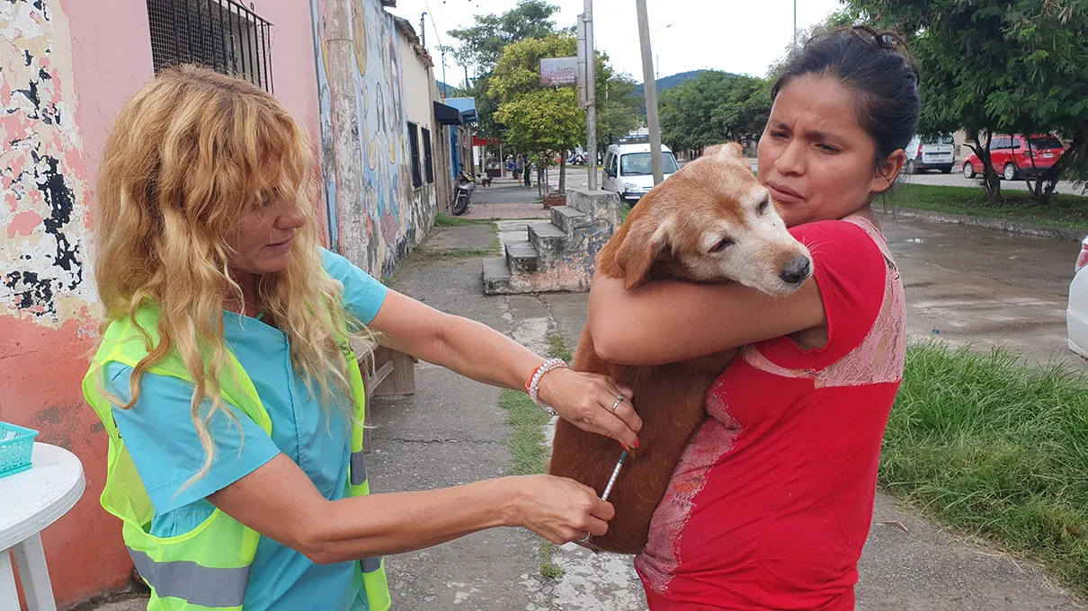 vacunacion-antirrabica-en-20-de-junio-16