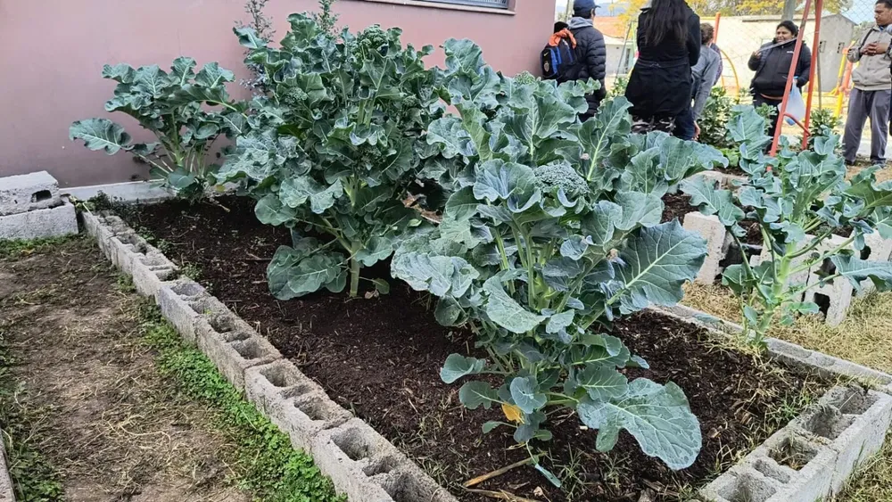 huerta-gauchito-gil-12-1536x864