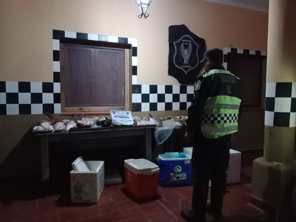 Imagen-de-WhatsApp-2024-03-14-a-las-20.56.22_46cef3ff