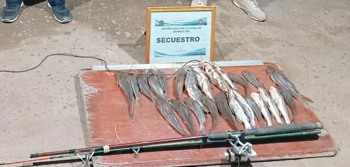 WhatsApp-Image-2024-09-19-at-1.54.57-AM-696x332