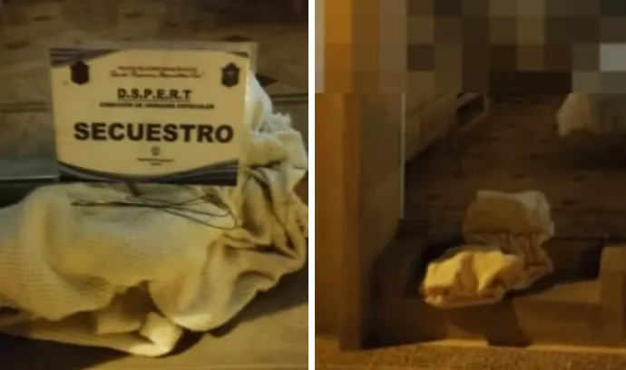 Captura de pantalla 2024-08-28 025428