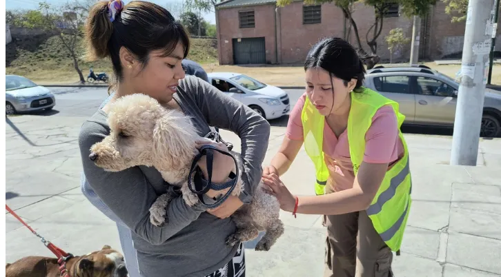 Captura de pantalla_8-11-2024_14121_prensa.municipalidadsalta.gob.ar