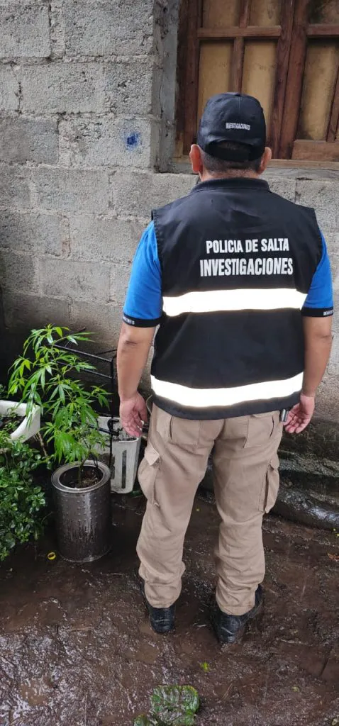 Imagen-de-WhatsApp-2024-01-11-a-las-20.06.32_58a97788-1-478x1024