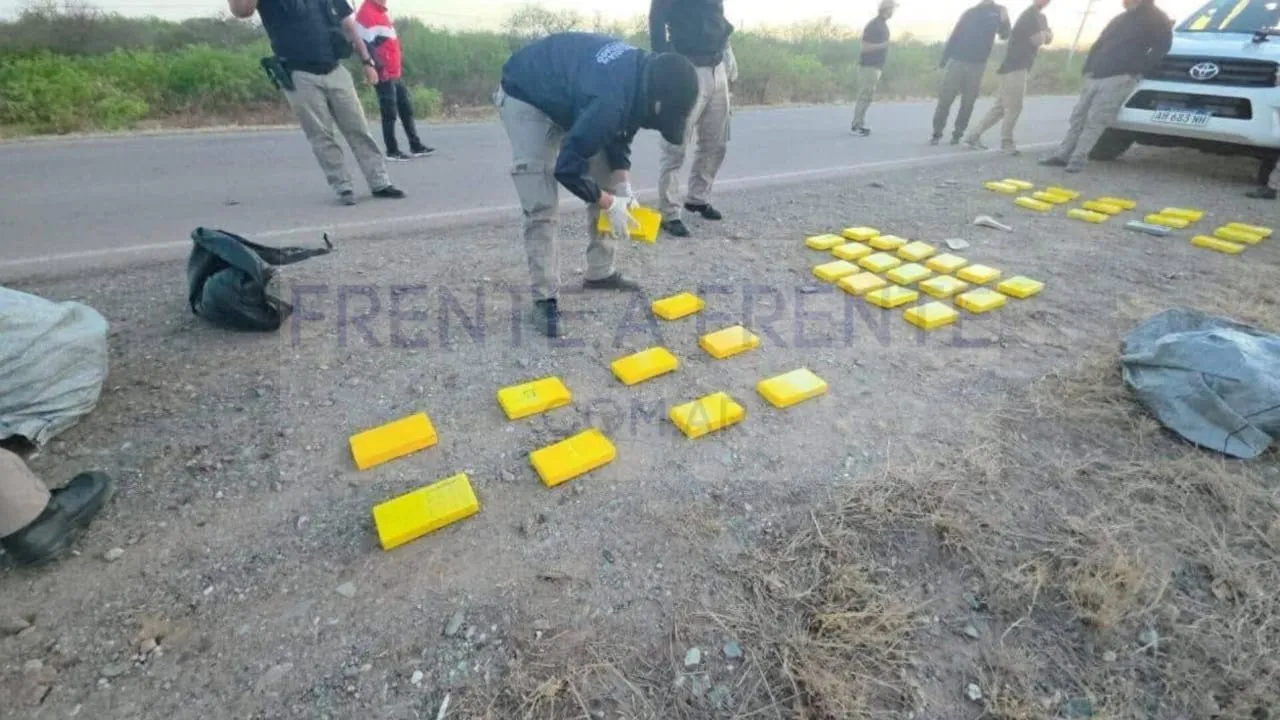 WhatsApp Image 2025-11-01 at 12.31.59