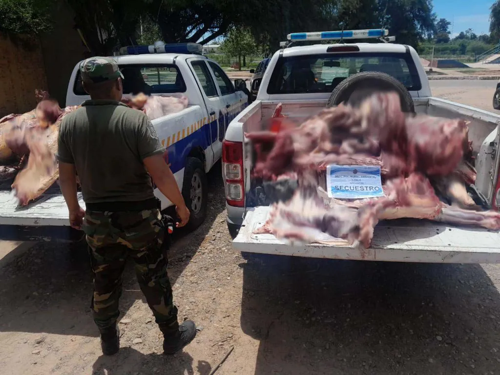 WhatsApp-Image-2025-02-12-at-2.31.07-PM-1-1024x768