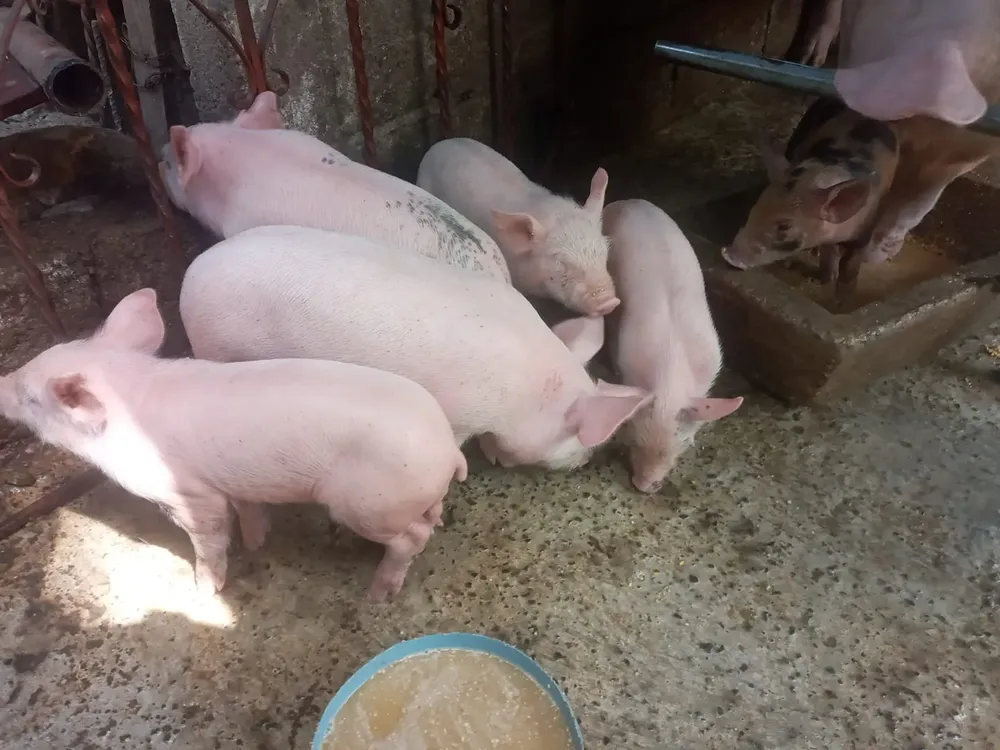 185779961_2883813921888182_7354019633784270457_n