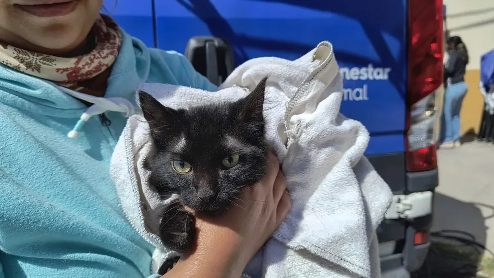 movil-de-castracion-villa-lujan-5-1536x864