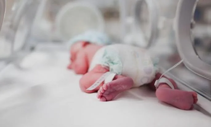 WhatsApp Image 2026-03-30 at 11.44.25