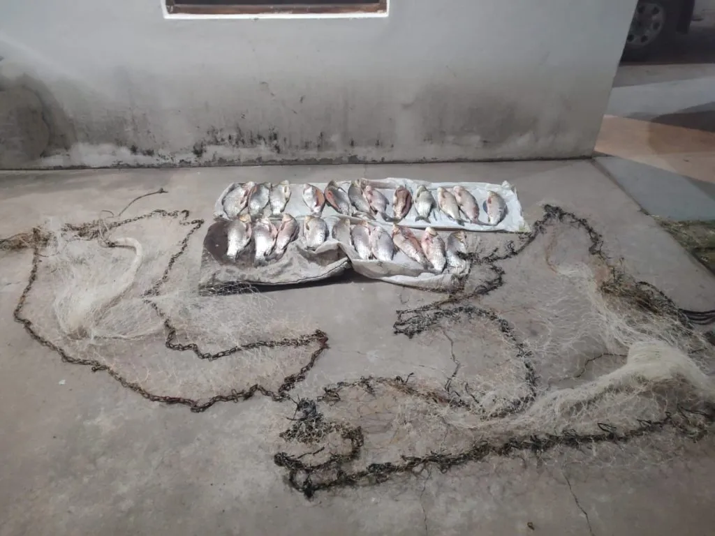 WhatsApp-Image-2024-03-31-at-2.43.08-AM-1024x768