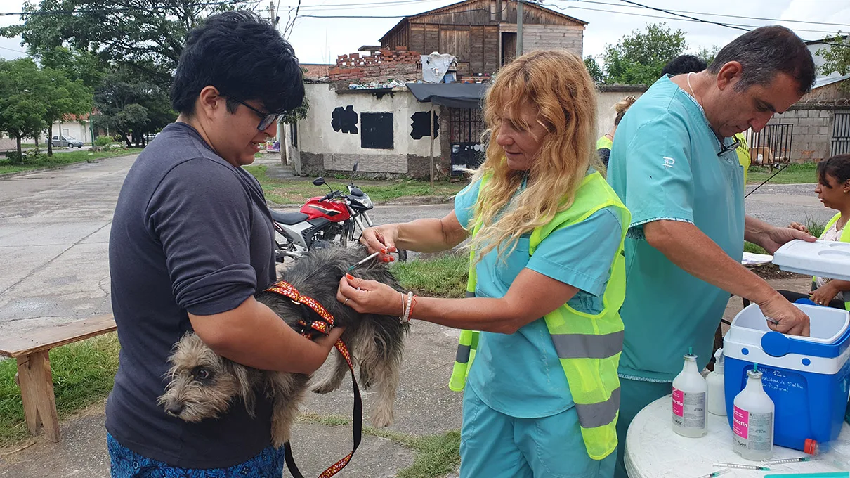 vacunacion-antirrabica-en-20-de-junio-2-jpg