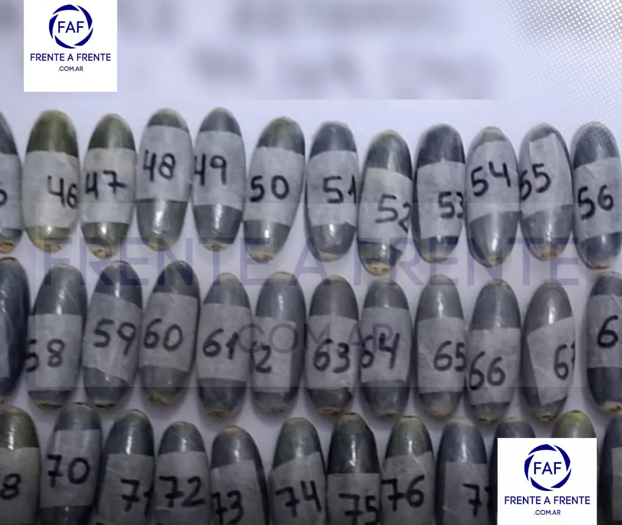 WhatsApp Image 2025-11-01 at 12.11.06