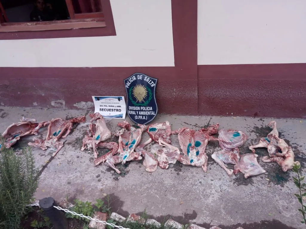 WhatsApp-Image-2024-01-22-at-1.40.37-PM-1024x768