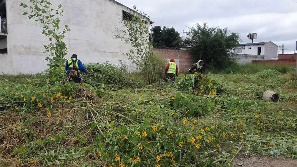 saneando-baldios-1536x864