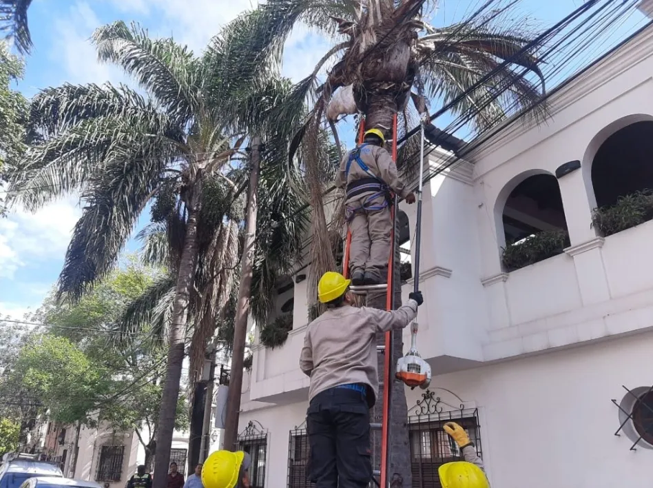 Screenshot_20240326_183416_Chrome