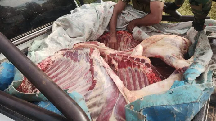 Imagen-de-WhatsApp-2025-01-21-a-las-11.33.59_de41632a-696x392