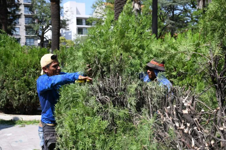 plaza-guemes-4-768x512