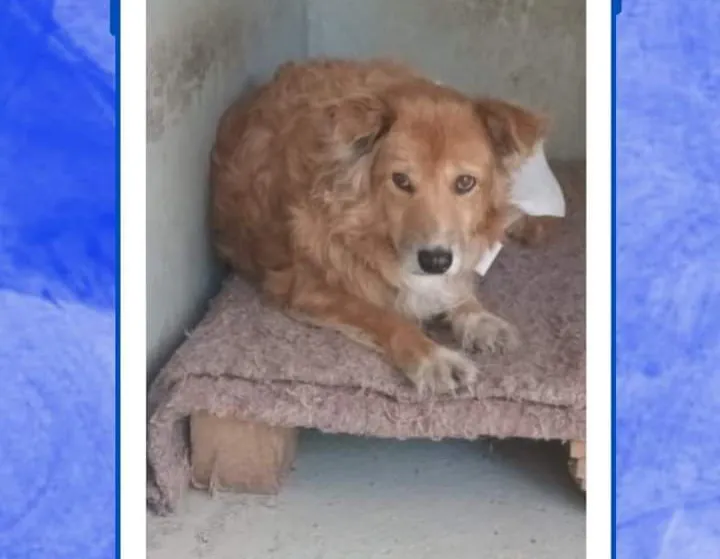 FB_IMG_1726583969665