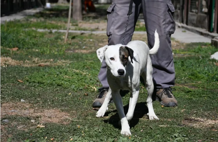 Captura de pantalla_6-11-2024_132135_prensa.municipalidadsalta.gob.ar