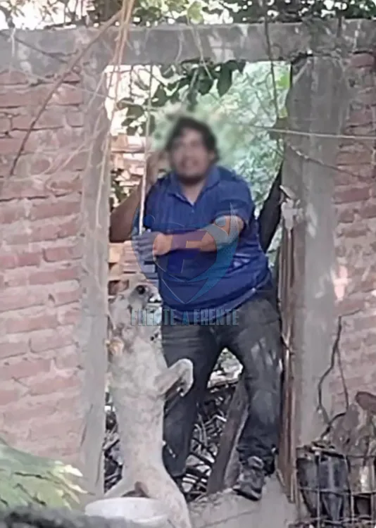 InShot_20231023_164036917