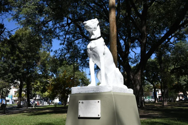 estatua-perro-restauracion-3-768x512