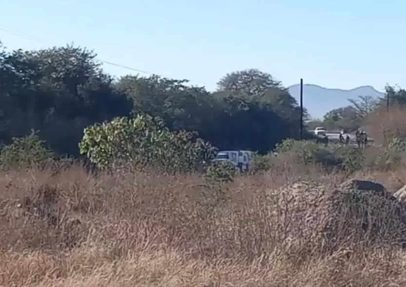 448753481_1026462662814956_5298303919507722763_n