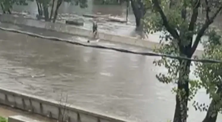 Captura de pantalla 2024-03-20 200044