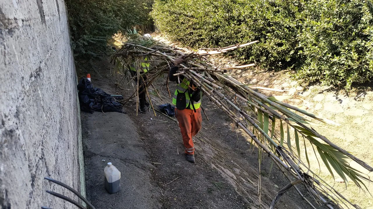 limpieza-canal-chartas-4