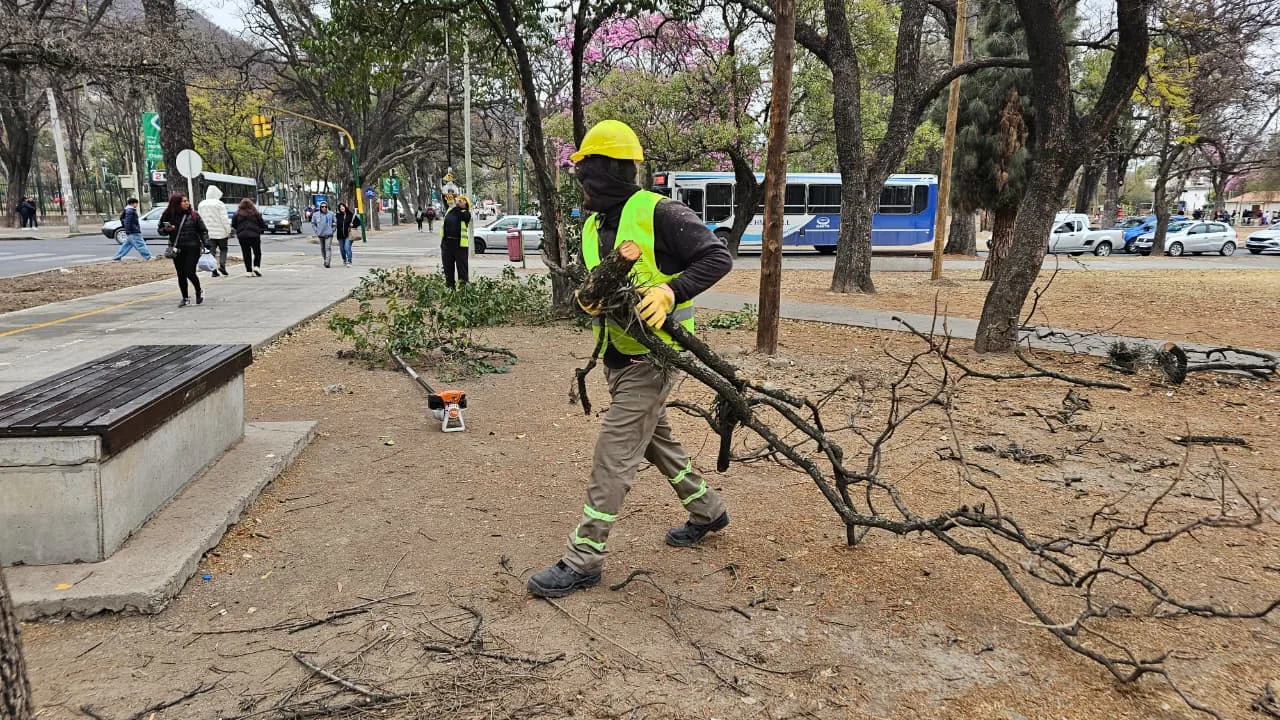 poda-parque-san-martin-2