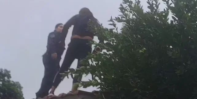 Captura de pantalla 2026-03-26 145834