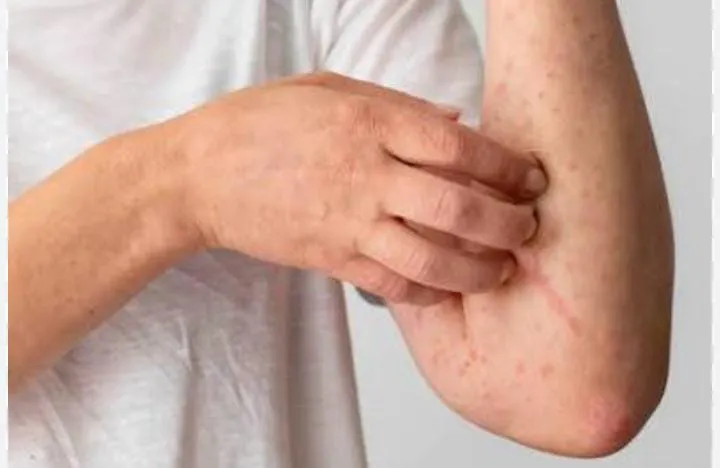 WhatsApp Image 2026-02-12 at 19.38.26