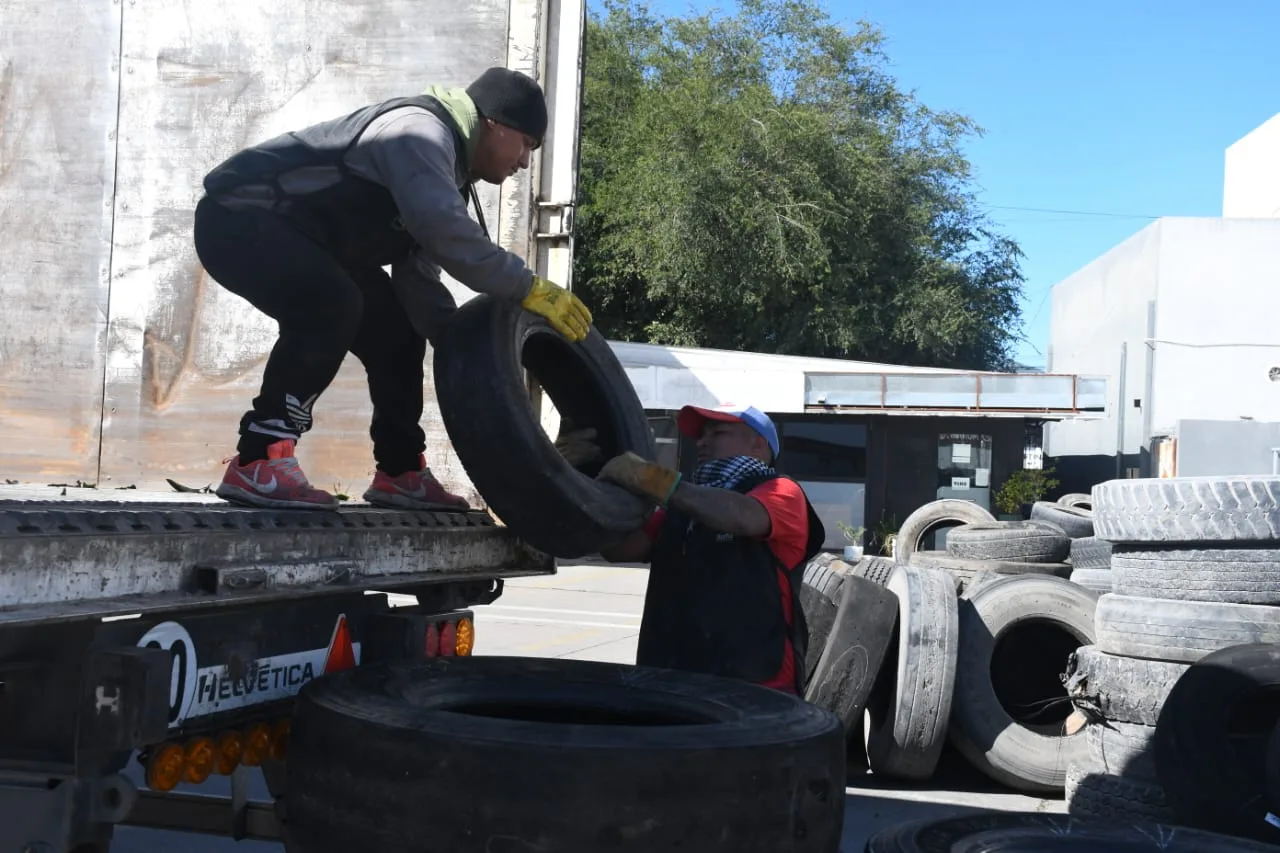 neumaton-13-edicion-2-jpeg