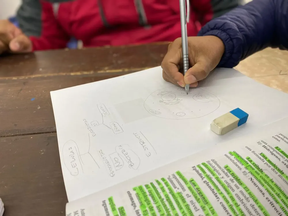 apoyo-escolar-3-jpeg