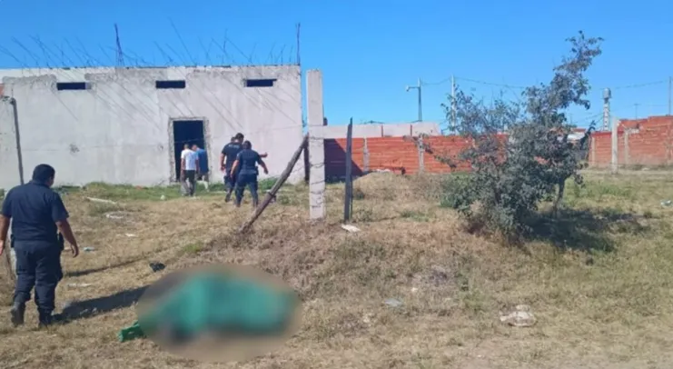 Captura de pantalla 2025-02-03 020905