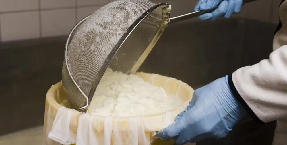 elaboraciondequesillos-1536x778