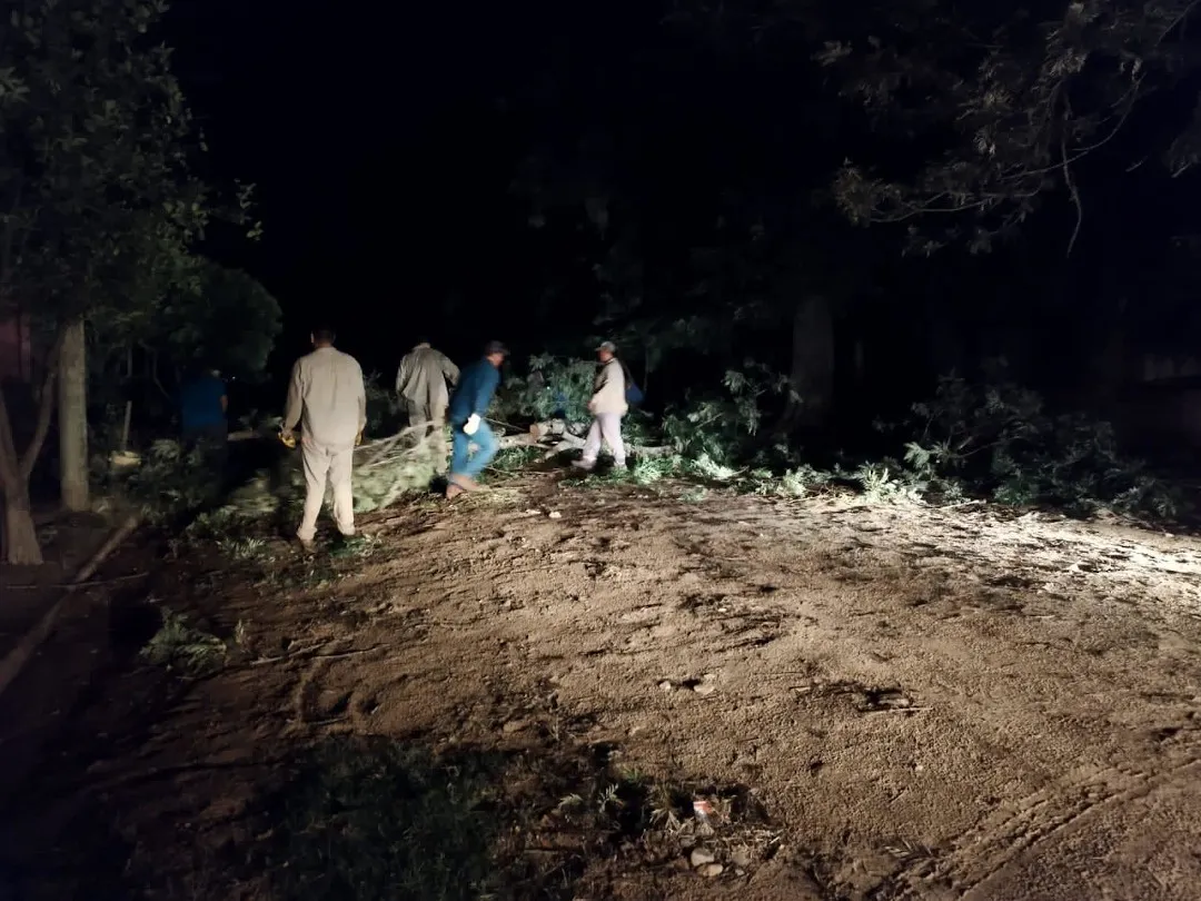 trabajos-por-temporal-2