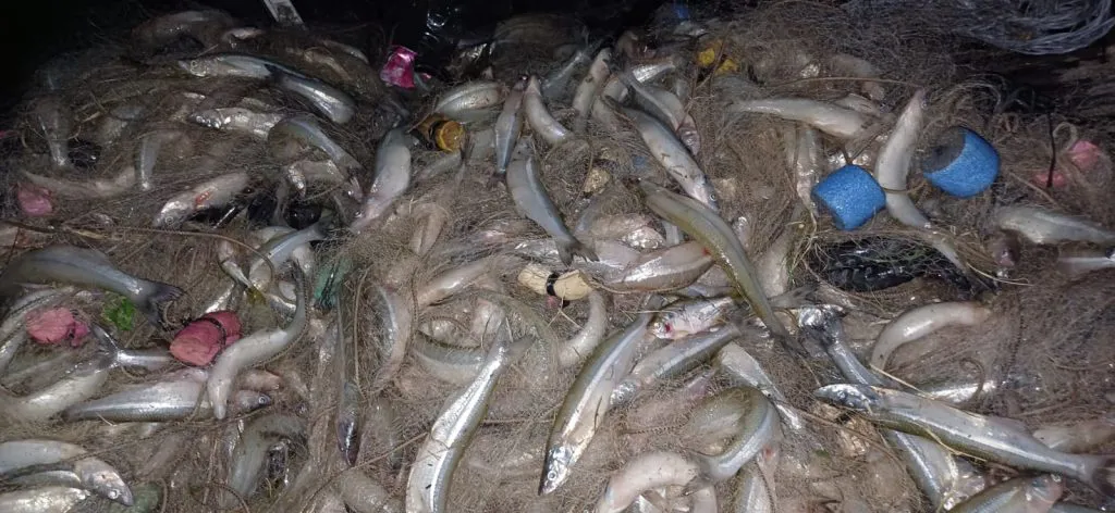 WhatsApp-Image-2025-03-10-at-10.17.51-PM-1-1-1024x472