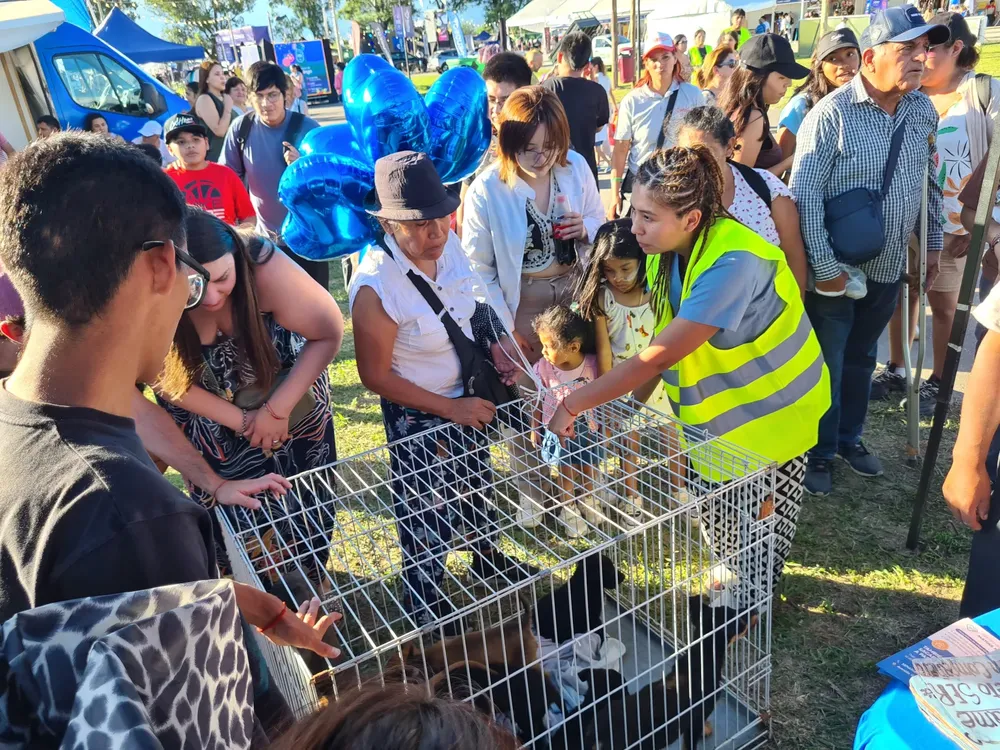 adopcion-expo-ciudad-4-1536x1152